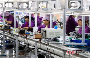 減稅降費助力江西新余中小企業(yè)邁向快車道——網(wǎng)站建設為發(fā)展添翼